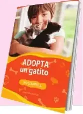 Figura 2 de Lengua Y Literatura 6° · Egb 6 Lengua Y Literatura 2025 · 2025