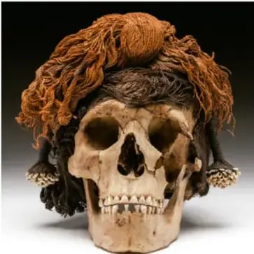 Fotografía de un cráneo humano antiguo con cabello pelirrojo aún adherido y adornos en las orejas, ejemplo de fósil exhibido.