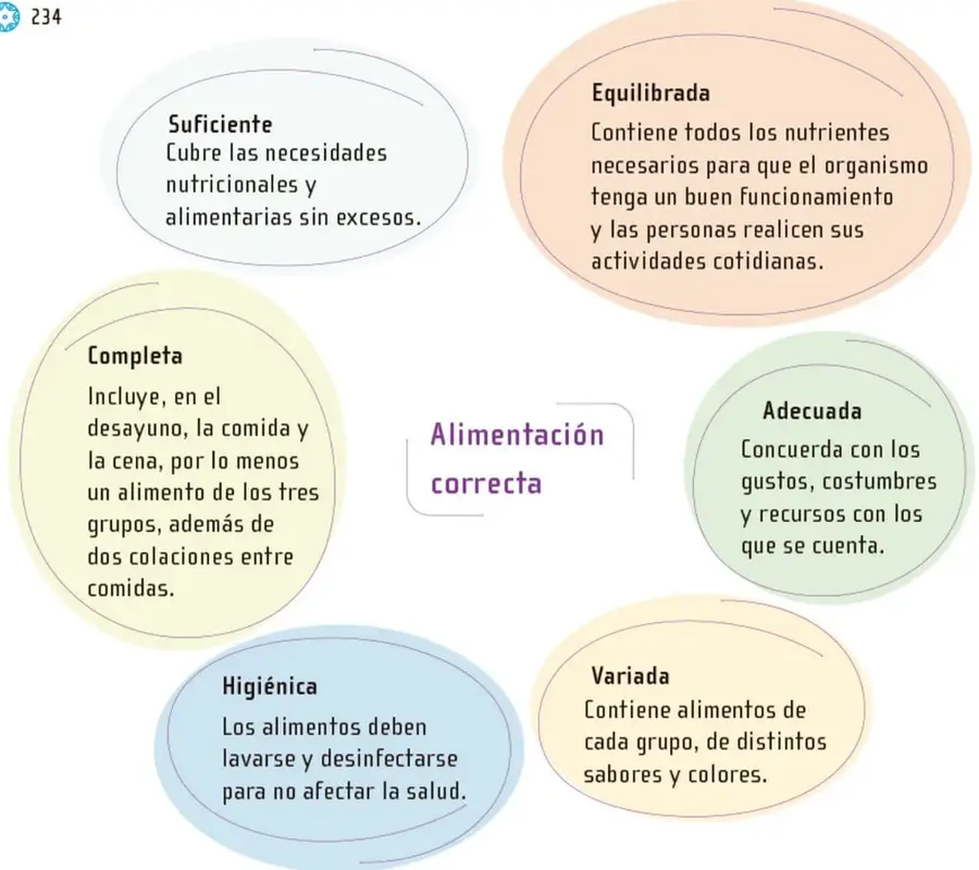 Mapa conceptual ovalado con seis burbujas de colores alrededor del centro 'Alimentación correcta': Suficiente, Equilibrada, Completa, Adecuada, Variada e Higiénica.
