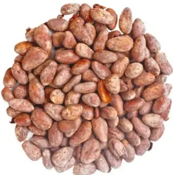Fotografía de un montón de granos de cacao, con el pie de imagen 'Grano de cacao'.