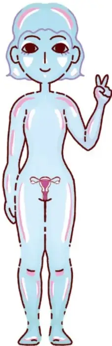 Figura anatómica femenina con el sistema reproductivo visible, señalando el útero.