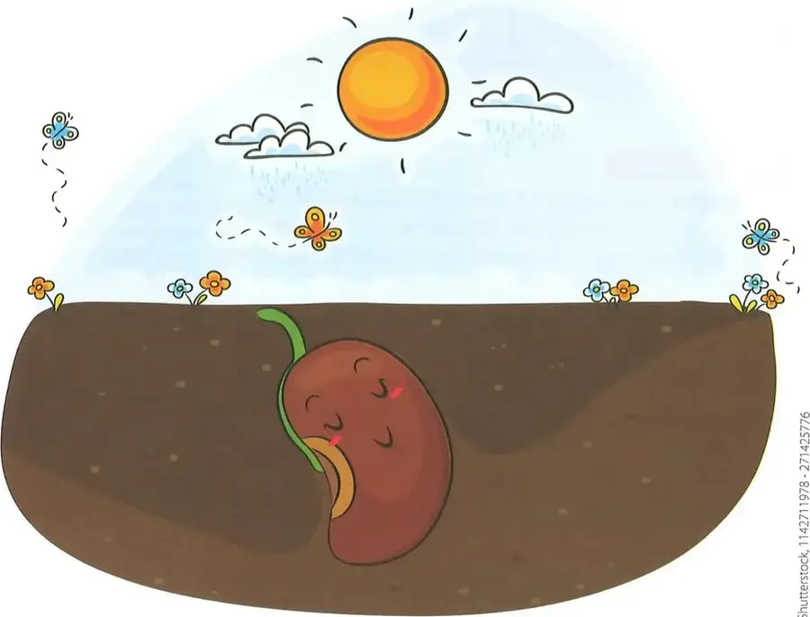 Ilustraciones decorativas de niños y elementos relacionados con la comunicación.