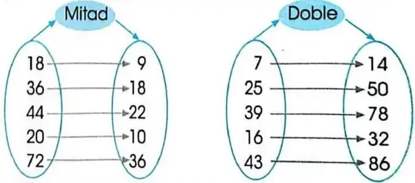 Esquemas de correspondencia para hallar la mitad y el doble de varios números.
