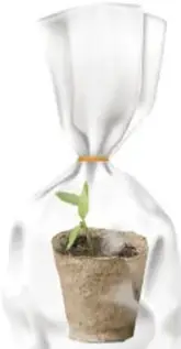 Caja de cartón cerrada con la palabra Plantas.