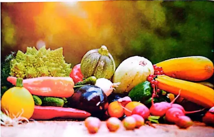 Recuadro de competencia digital que invita a consultar un enlace sobre los grupos de alimentos según su función.