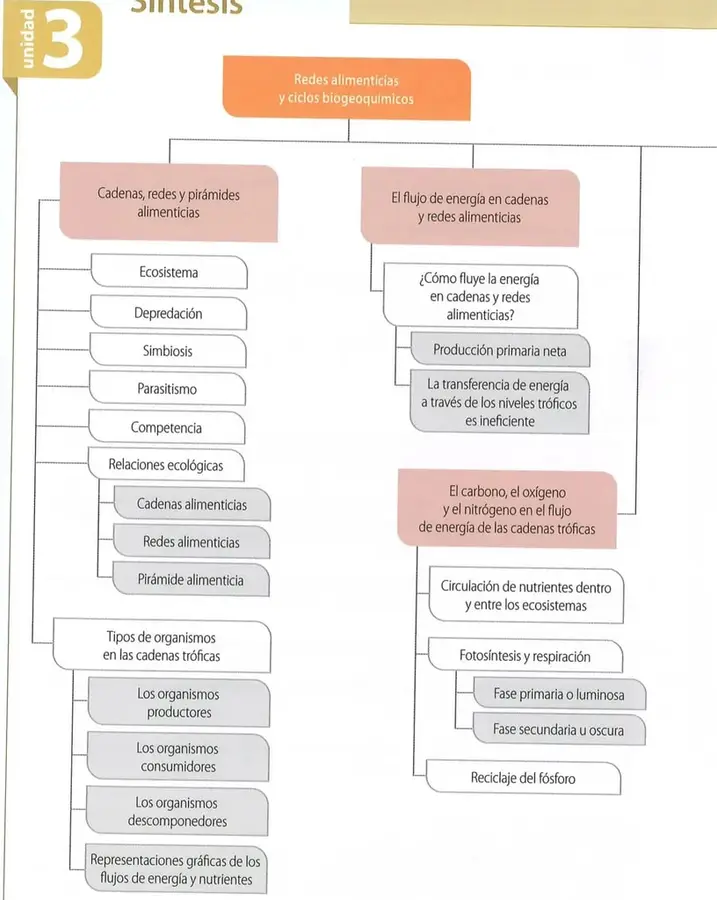 Figura 1 de Ciencias Naturales 8° · Egb 8 Ciencias Naturales 2025 · 2025