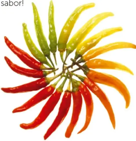 Fotografía de muchos chiles delgados (de árbol) rojos, naranjas y verdes dispuestos en círculo formando una estrella o girasol.