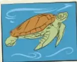 Estampilla con una tortuga marina verde y azul nadando.