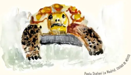 Ilustración de una tortuga del desierto con caparazón amarillo y patas moteadas, mirando hacia el frente.