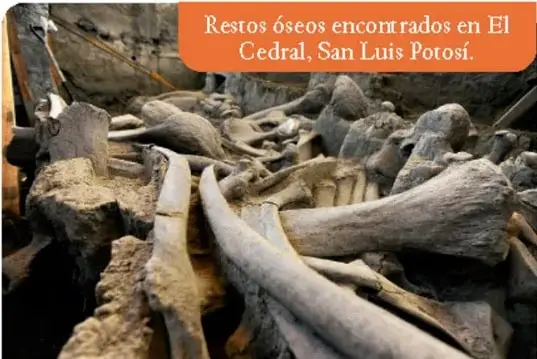 Tres puntas de instrumentos líticos talladas en piedra, localizadas en la Cueva de los Hacheros.