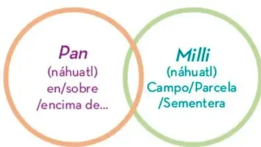 Dos círculos que explican Pan (náhuatl: en/sobre/encima de) y Milli (náhuatl: campo/parcela/sementera).