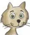 Ilustración de un gato de color claro mirando hacia el frente, junto a la Actividad 2.