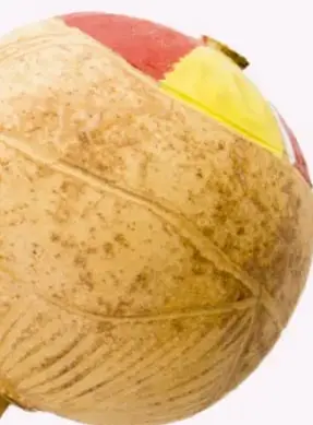 Fotografía de una maraquita artesanal hecha con botecitos y círculos de cartón, con un mango de madera.