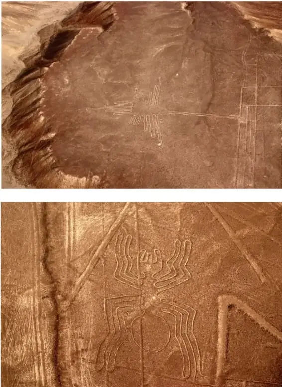 Detalle de la figura del geoglifo de la araña de nazca grabada en el desierto.