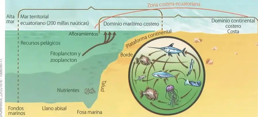 Figura 2 de Estudios Sociales 8° · 2025