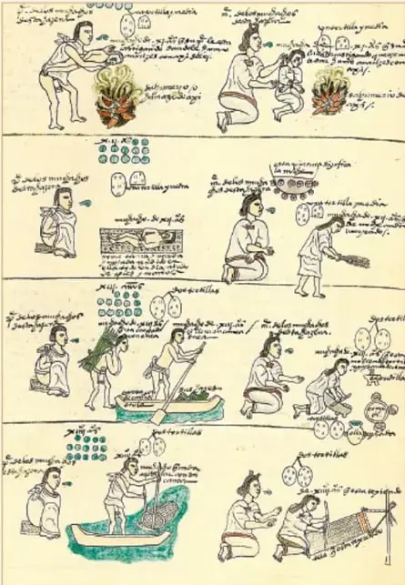 Página del Códice Mendoza con cuatro registros horizontales que muestran a niños y adultos indígenas en actividades de la vida cotidiana: preparación de alimentos junto al fuego, labores domésticas, pesca en canoa y tejido; con glifos y textos en náhuatl.