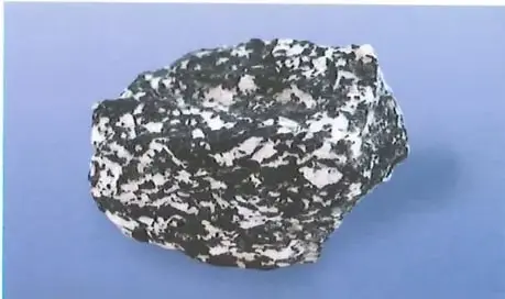 Figura 2 de Ciencias Naturales 10° · 2025