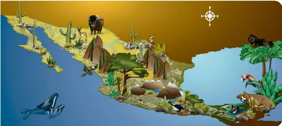 Ilustración de las regiones naturales de México con zonas áridas, templadas, costeras y tropicales; incluye cactus, bisontes, mamuts, ballenas, jaguares y tucanes, además de una rosa de los vientos.