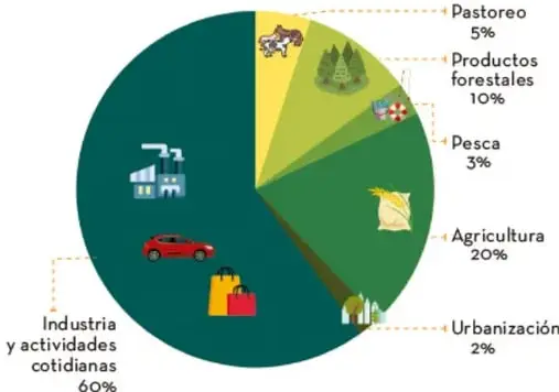 Gráfica circular "Huella ecológica por uso de suelo" con sectores: Industria y actividades cotidianas 60%, Agricultura 20%, Productos forestales 10%, Pastoreo 5%, Pesca 3%, Urbanización 2%, con iconos de fábricas, autos, bosques, ganado y casas.
