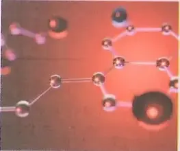 Figura 3 de Ciencias Naturales 8° · Egb 8 Ciencias Naturales 2025 · 2025