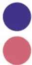 Dos círculos grandes en columna (violeta y rosa): el diagrama del 2.