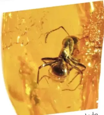 Fotografía de un fósil de insecto encapsulado en ámbar: un insecto oscuro (parecido a una hormiga o avispa) dentro de ámbar amarillo translúcido.