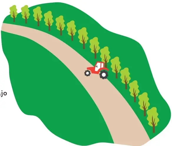 Ilustración de una colina verde con un camino de tierra en diagonal; a su lado una fila de árboles y un tractor rojo ubicado en el sexto lugar de la fila.