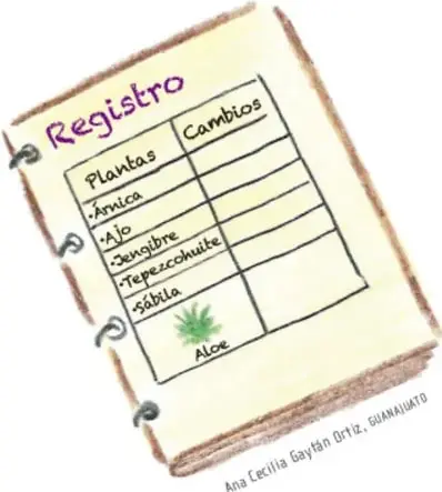 Cuaderno abierto con el título 'Registro' y una tabla de dos columnas (Plantas, Cambios) que lista árnica, ajo, jengibre, tepescohuite, sábila y aloe; crédito: Ana Cecilia Gaytán Ortiz, Guanajuato.