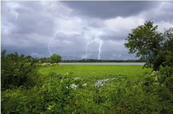 Fotografía de una tormenta sobre un campo verde con varios rayos cayendo del cielo nublado.