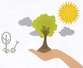 Figura 12 de Ciencias Naturales 9° · 2025