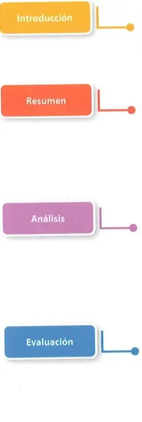 Infografía con cuatro etiquetas de colores (naranja, roja, violeta, azul) conectadas mediante líneas a recuadros de texto explicativos de cada parte de la reseña: Introducción, Resumen, Análisis y Evaluación. Diseño visual tipo diagrama de flujo vertical.