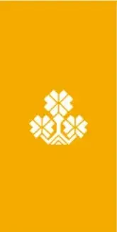 Ilustración decorativa con flores y grecas en tono naranja, característica de la Colección Sk'asolil.