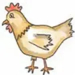 Gallina de color amarillo.