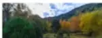 Fotografía de un paisaje natural con árboles y montañas, asociada al texto "Los parques naturales en peligro".