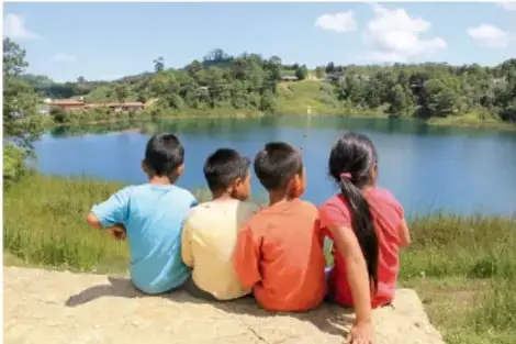 Cuatro niños sentados de espaldas observando un lago rodeado de vegetación.