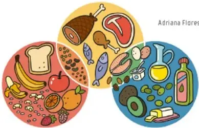 Tres círculos con ejemplos de alimentos: carnes, pescado, lácteos, verduras, frutas, aceites y granos.