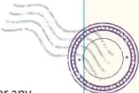 Sello postal con diseño de líneas curvas