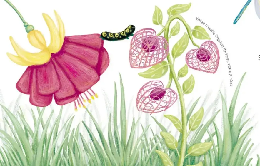 Flor grande rosa y amarilla con un gusano verde sobre una hoja, junto a capullos rosados en forma de corazón.