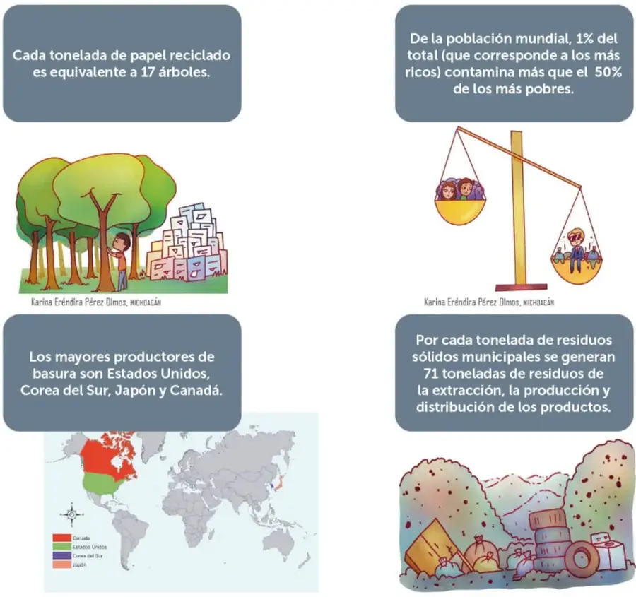 Ilustración de un bosque junto a una pila de papel y cartón, junto al dato de 17 árboles por tonelada de papel reciclado.