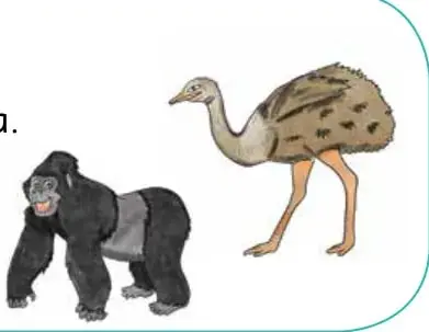 Ilustración de un gorila de espalda negra y un ñandú de patas largas y plumaje pardo, los dos animales que menciona el poema.