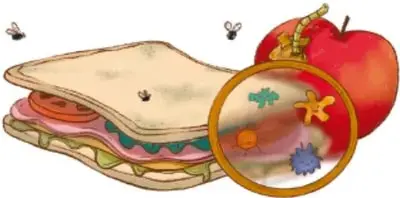 Un sándwich y una manzana con moscas, y una lupa que muestra microorganismos de colores sobre los alimentos.