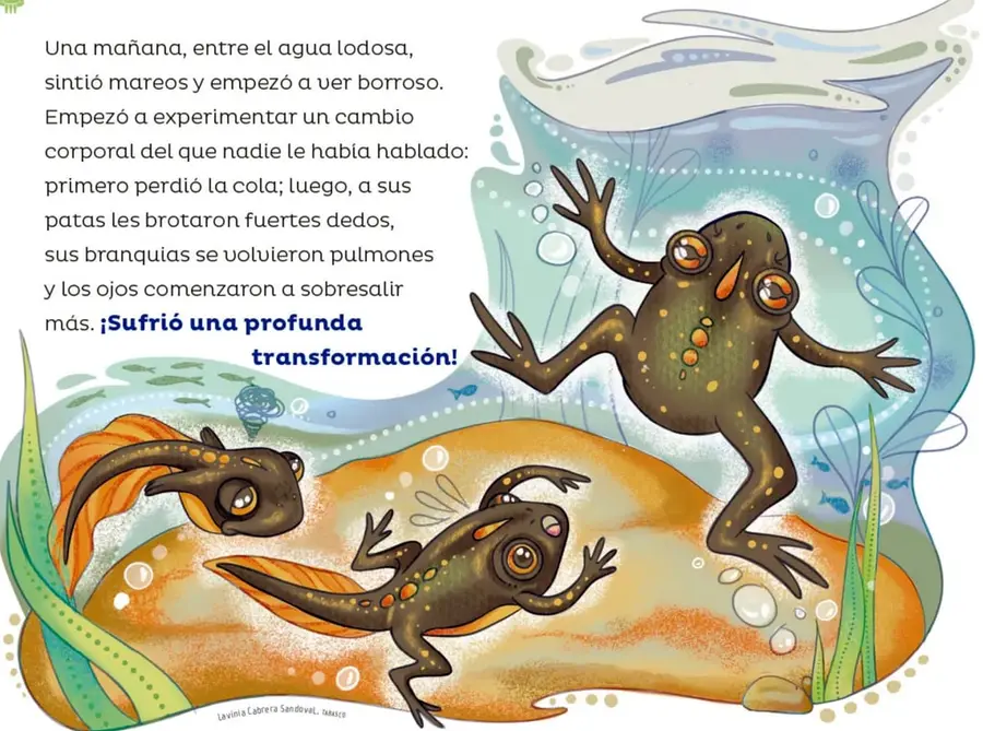 Figura 1 de Múltiples lenguajes.   Libro de Educación Preescolar Grado 2°  Ciclo Escolar 2025 - 2026