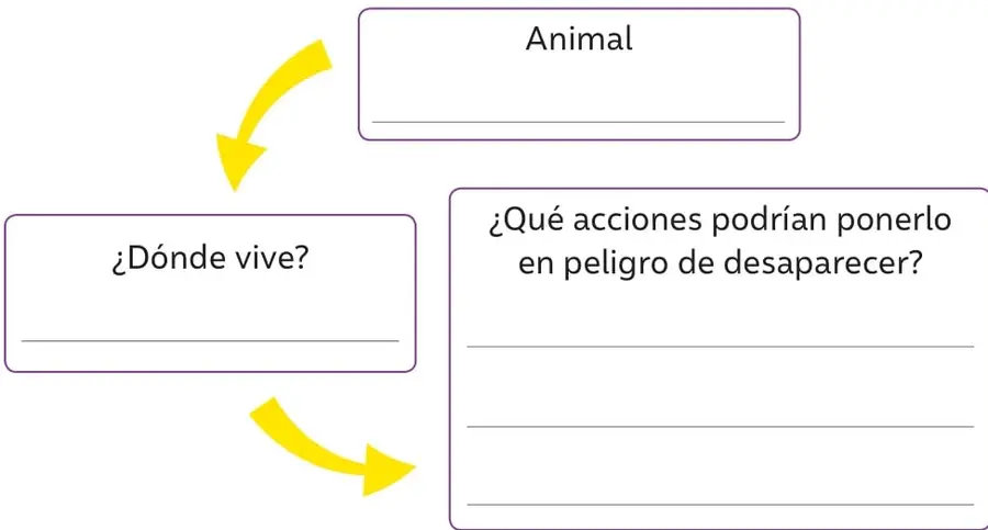 Esquema con tres recuadros unidos por flechas amarillas: 'Animal', '¿Dónde vive?' y '¿Qué acciones podrían ponerlo en peligro de desaparecer?', con líneas en blanco para completar.