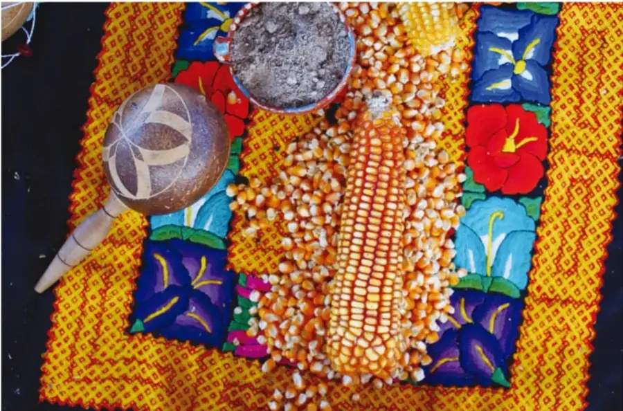 Fotografía de un manto tejido con flores de colores, sobre el que se apoyan un mazorca de maíz con granos sueltos, un güiro o calabaza decorada y un recipiente con ceniza o tierra, elementos de ofrenda vinculados a rituales agrícolas indígenas.