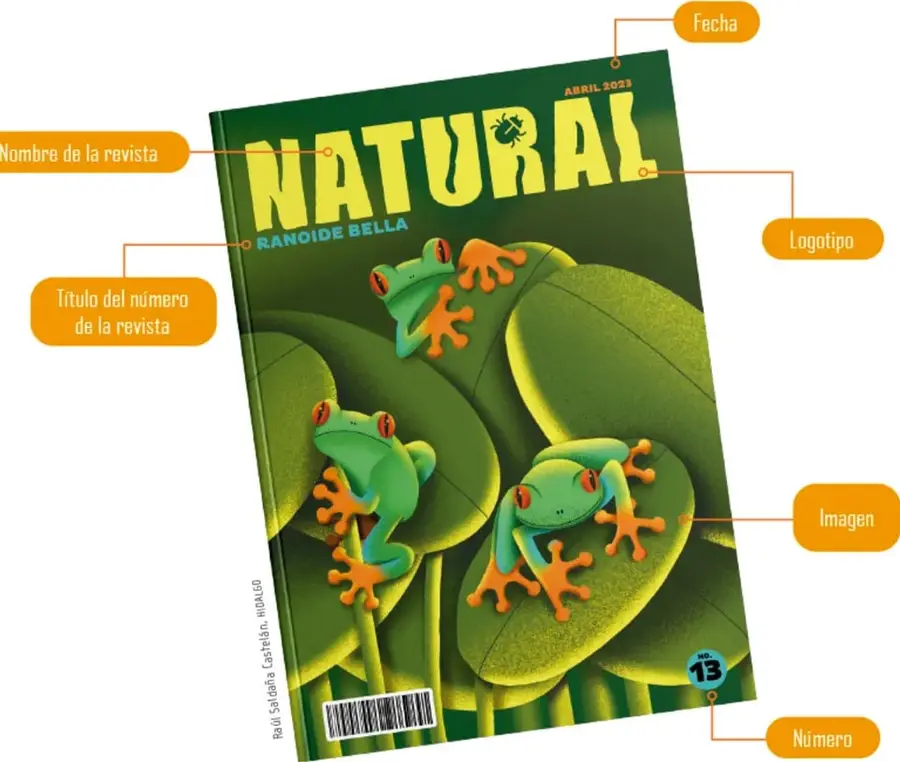 Portada de la revista 'Natural' (abril 2023, número 13) con la fotografía de tres ranas verdes de ojos rojos sobre hojas de nenúfar, con etiquetas que señalan sus partes: nombre, logotipo, fecha, título del número, imagen y número.
