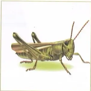 Figura 3 de Ciencias Naturales 10° · 2025