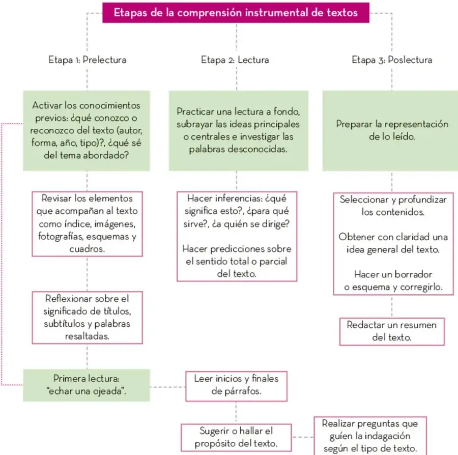 Organizador gráfico titulado 'Etapas de la comprensión instrumental de textos' que divide en tres columnas verticales las etapas: Etapa 1 Prelectura, Etapa 2 Lectura y Etapa 3 Poslectura, con recuadros verdes y rosas enlazados por líneas punteadas que muestran las acciones de cada etapa y sus conexiones horizontales.