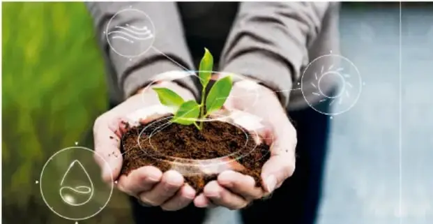 Manos sosteniendo tierra con una pequeña planta; alrededor hay íconos que representan agua, aire y luz solar.