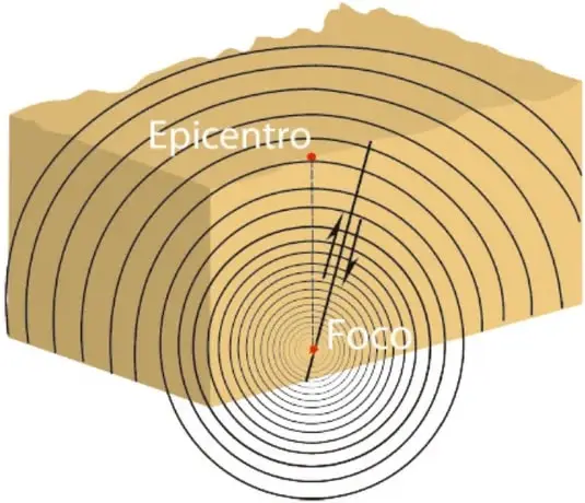 Corte tridimensional de la corteza terrestre que muestra el foco en el interior, el epicentro en la superficie y las ondas sísmicas como círculos concéntricos que se propagan desde el foco.