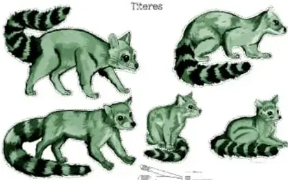 Ilustración verde titulada «Títeres»: cinco títeres con forma de coatí o «piso» en distintas posturas, con cola anillada; en la esquina inferior derecha hay piezas pequeñas (ojos y accesorios) para armar los títeres.
